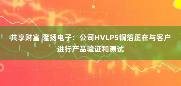 共享财富 隆扬电子：公司HVLP5铜箔正在与客户进行产品验证和测试